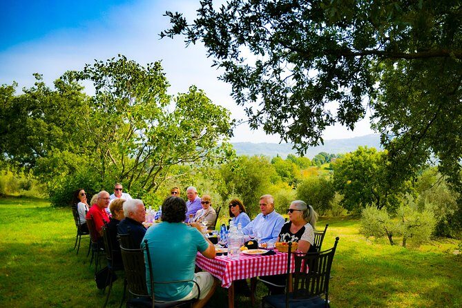 Lunch in the Olive Grove - A Scenic Tuscan Lunch Among Olive Trees: An Honest Review