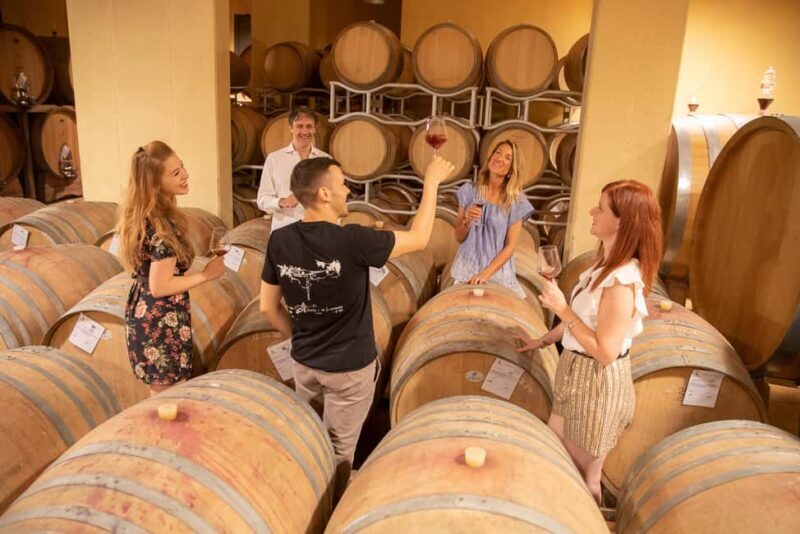 LUNCH IN VERONA: LIGHT LUNCH AMONG THE VINEYARDS AND IN THE WINERY - Key Points