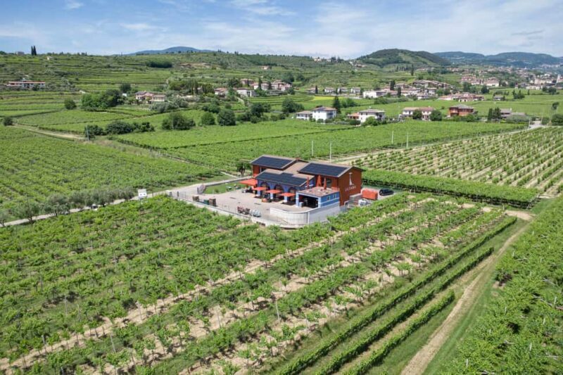 LUNCH IN VERONA: LIGHT LUNCH AMONG THE VINEYARDS AND IN THE WINERY - FAQs