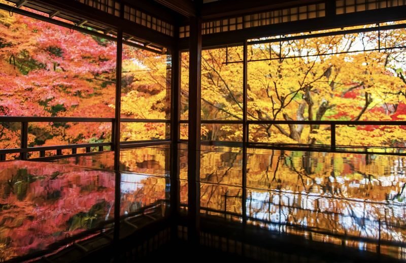 (Lunch included) Kyushu Autumn/Winter Limited One-Day Tour: Fukuoka Mifuneyama Rakuen Autumn Leaves Festival-Yutoku Inari Shrine Autumn Maple Viewing or Saga Strawberry Picking Experience - Two Routes Available - A fixed chicken lunch before the shrine visit