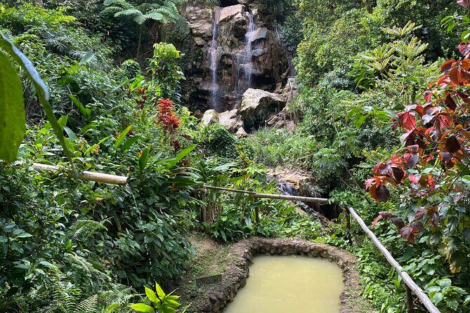 LUNCH INCLUSIVE Mud Baths, Waterfall & Tet Paul Nature Trail - Who Should Consider This Tour?