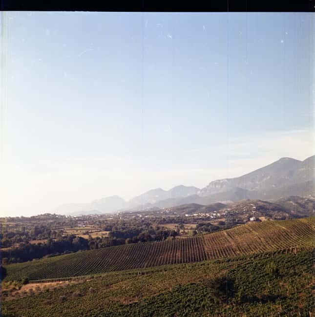 Lundër: Lundra Winery Guided Tour with Wine Tasting - Practical Tips for Visitors