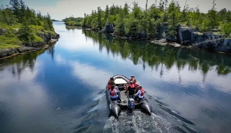 Lunenburg: Zodiac Wildlife Tour with Naturalist Guide - An Authentic Look at the Zodiac Wildlife Tour