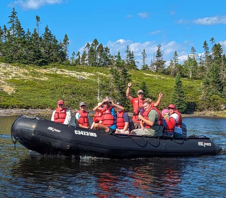 Lunenburg: Zodiac Wildlife Tour with Naturalist Guide - Price and Value