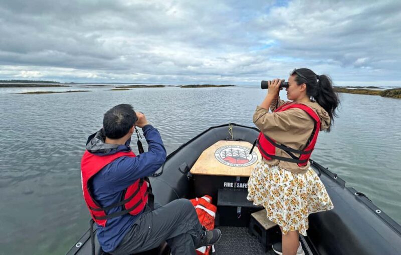 Lunenburg: Zodiac Wildlife Tour with Naturalist Guide - Who Will Love This Tour?
