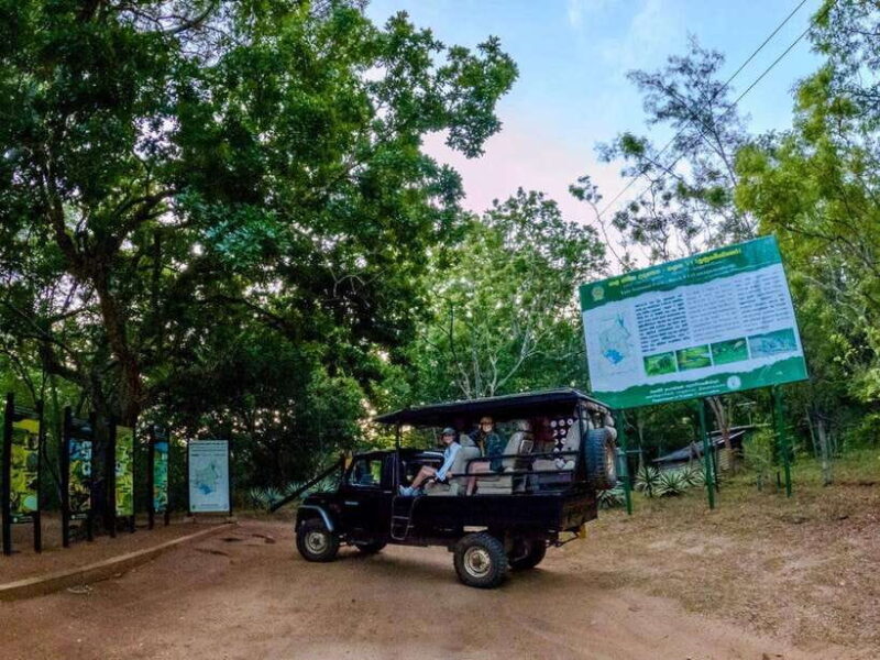 Lunugamwehera NP (Block VI) Morning Safari Game Drive - Key Points