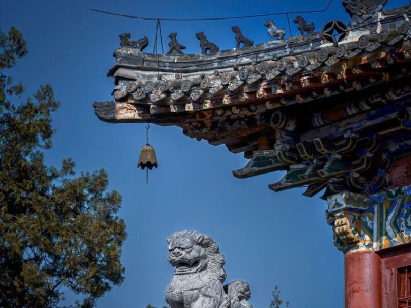 Luoyang: Longmen Grottoes and White Horse Temple Guided Tour - Who Should Consider This Tour?