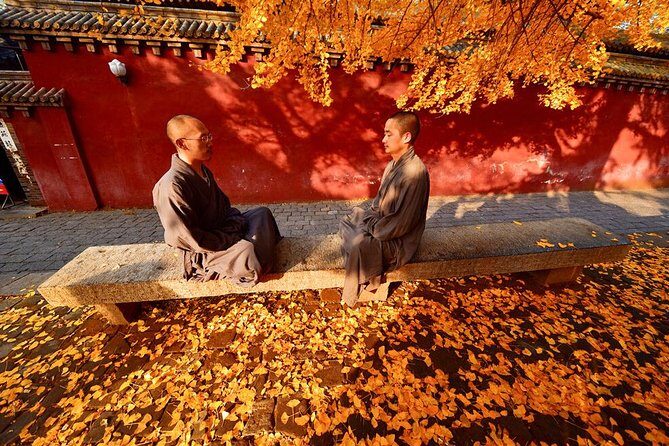 Luoyang Private Day Tour of Shaolin Temple and Longmen Grottoes - In-Depth Review of the Luoyang Private Day Tour