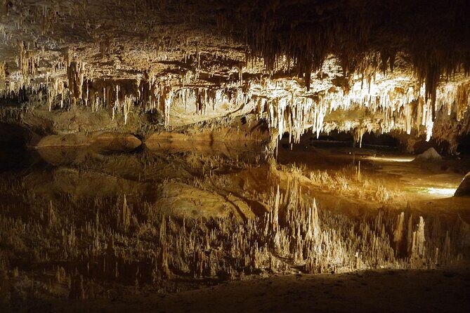Luray Caverns, VA Private Tour - Exploring the Luray Caverns, VA Private Tour: A Natural Wonder Close to DC