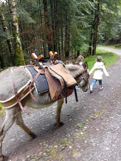 Luvigny: an unusual getaway with donkeys and goats - Luvigny: An Unusual Getaway with Donkeys and Goats