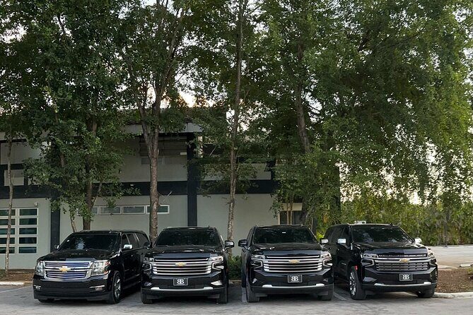 Luxe Black Car Transfer  Cap Cana, Bavaro & Punta Cana Airport - Final Thoughts: Is This Transfer Right for You?