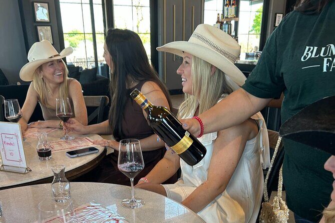 Luxe Hill Country Private Wine Adventure with Gourmet Lunch - Who Will Love This Tour?