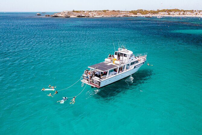 Luxe Island Seafood Cruise - Rottnest Island - A Perfect Introduction to Rottnest Island’s Marine Life