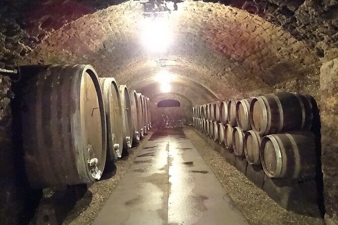 Luxembourg Moselle Day Tour with wine tasting - Who Will Love This Tour?