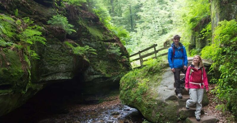 Luxembourg: Nature, History and Castles Full-Day Tour - Exploring Luxembourg’s Hidden Treasures in One Day