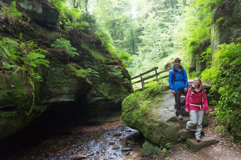 Luxembourg: Nature, History and Castles Full-Day Tour - Who Will Love This Tour?