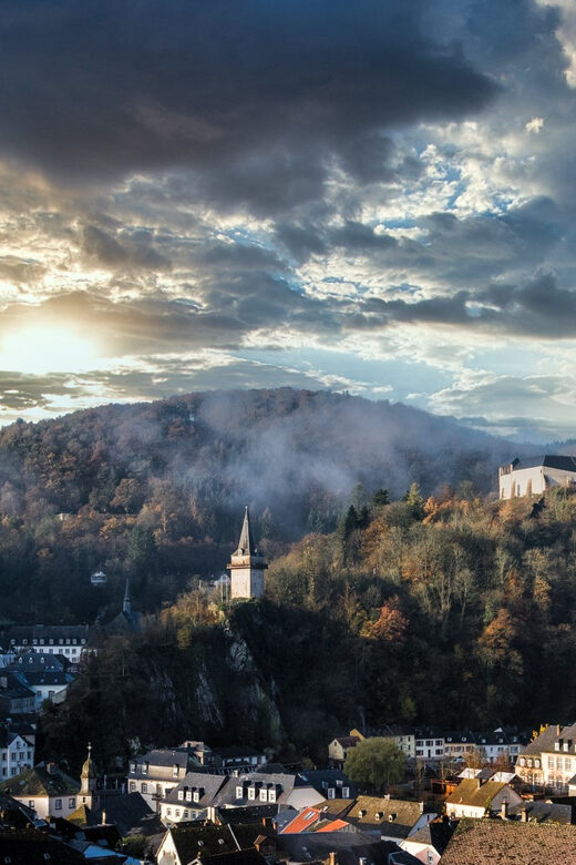 Luxembourg: Vianden Castle Entry Ticket - Who This Tour Is Best For