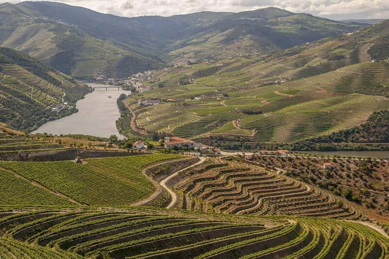 Luxurious Daytrip Lisbon to Douro Valley with Optional Stops - Exploring Portugal’s Best in a Day: The Douro Valley from Lisbon