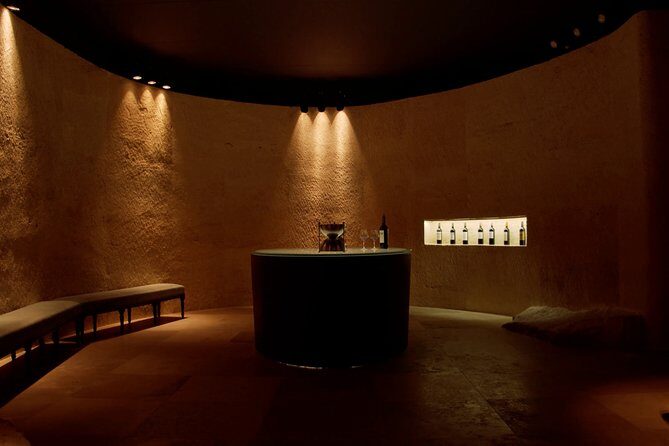 Luxurious full day Bordeaux wine tour in a Tesla - The Real Value of the Tour