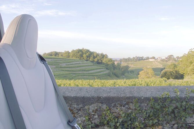 Luxurious full day Bordeaux wine tour in a Tesla - Who Will Love This Tour?