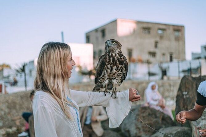 luxury 4 Hour Private Tour of Tangier - Who Should Book This Tour?