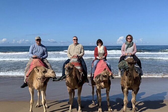 luxury 4 Hour Private Tour of Tangier - FAQ