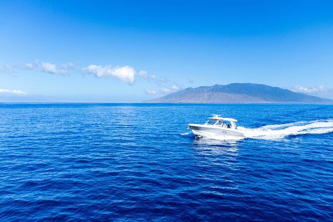 Luxury 6 passenger Boston Whaler Private Charter - An In-Depth Look at the Private Maui Water Adventure