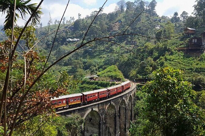 Luxury 7 Days Cultural Triangle Tour in Sri Lanka - What Makes This Tour Stand Out?