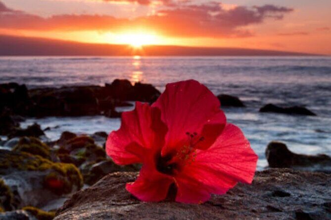 Luxury Airport Transfer in Hawaii - A Deep Dive into the Experience