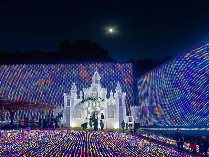 Luxury Ashikaga Flowers Park Tour With Pickup & Drop off - Experience the Best of Honshu with the Luxury Ashikaga Flowers Park Tour