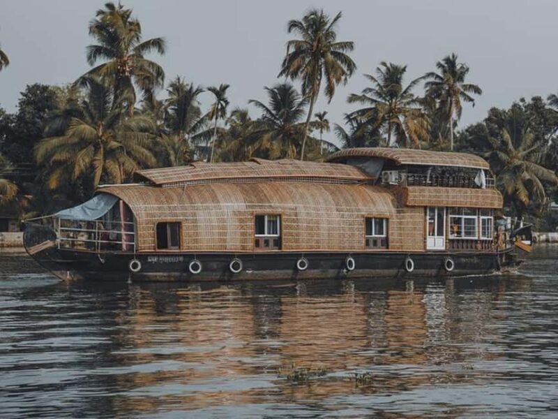 Luxury Backwater Cruise One-Day Private Tour from Kochi - Why This Tour Offers Great Value