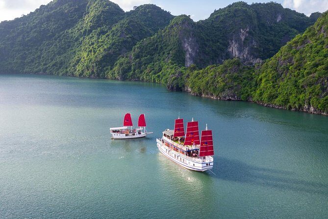 Luxury Bai Tu Long Cruise - Halong Day Trip from Hanoi - In-Depth Look at the Halong Day Trip Experience