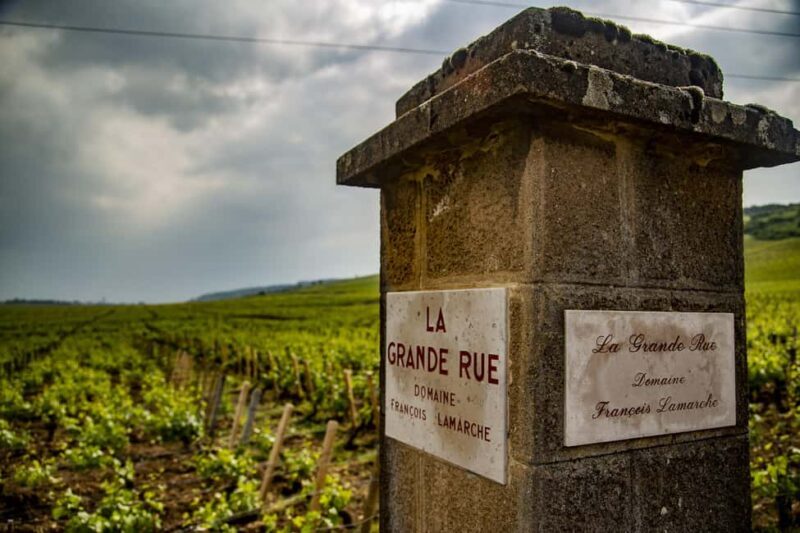 Luxury Burgundy Private Wine Tour - The Experience in Detail: What to Expect