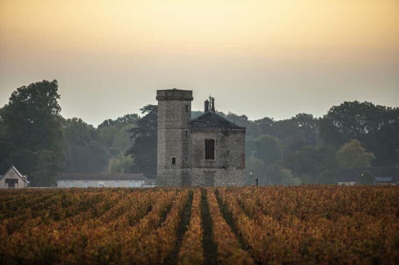 Luxury Burgundy Private Wine Tour - Final Thoughts