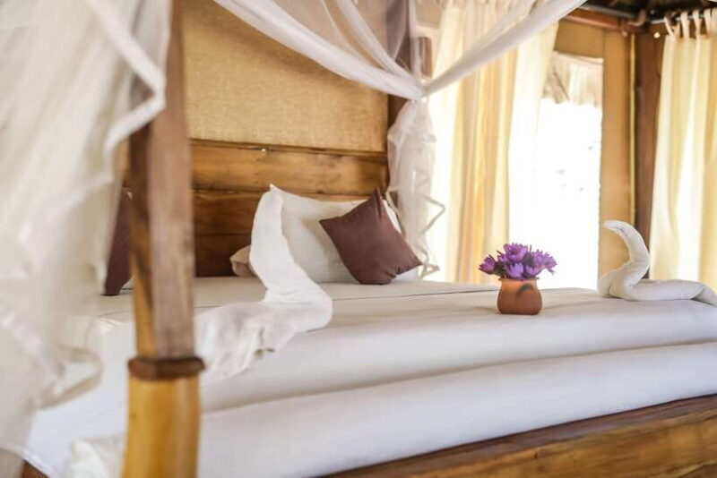 Luxury Camping and Safari Experience in Yala Park - Key Points