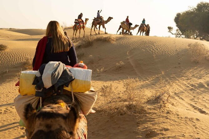 Luxury camping with cultural program in Thar Desert of Jaisalmer - Exploring the Jaisalmer Desert: A Deep Dive