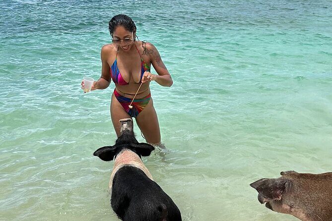 Luxury Catamaran Cruise: Sip, Sail, Snorkel, and Swim with Pigs! - Key Points