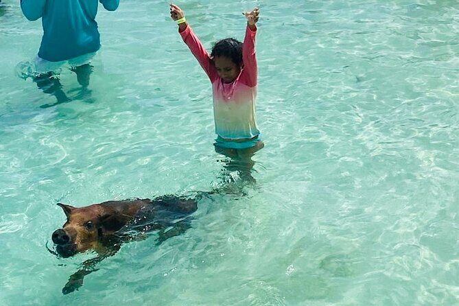 Luxury Catamaran Cruise: Sip, Sail, Snorkel, and Swim with Pigs! - An In-Depth Look at the Experience