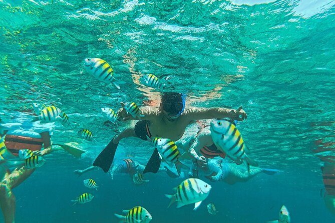 Luxury Catamaran to Isla Mujeres All Inclusive Open Bar Buffet - Frequently Asked Questions