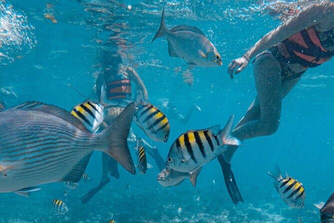 Luxury Catamaran to Isla Mujeres, Snorkeling, Buffet and Ice Bar - Practical Details and What to Expect