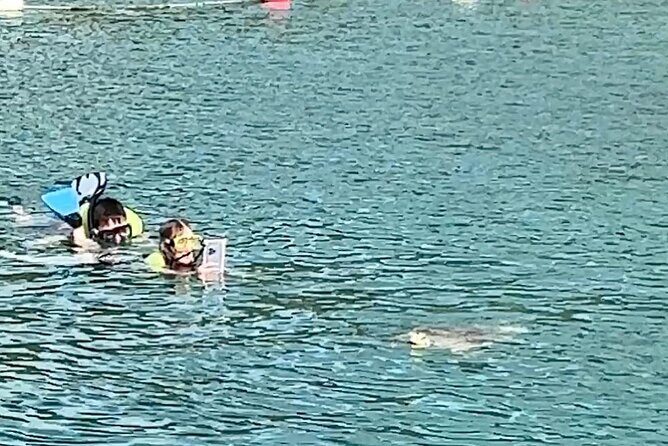 Luxury Catamaran Turtle Snorkel & Sunset Cruise - Why Consider the Luxury Catamaran Turtle Snorkel & Sunset Cruise?