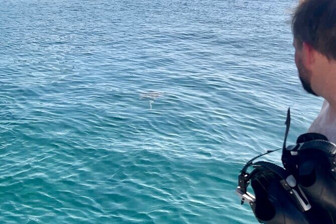 Luxury Catamaran Turtle Snorkel & Sunset Cruise - Frequently Asked Questions (FAQs)