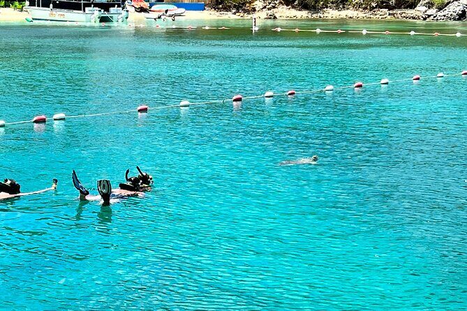 Luxury Catamaran Turtle Snorkel & Sunset Cruise - Final Thoughts