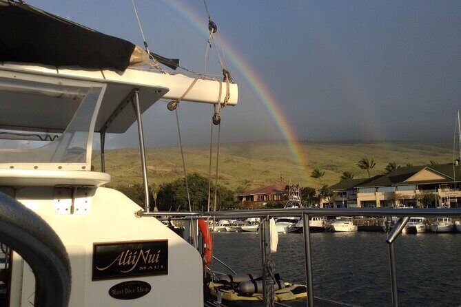 Luxury Catamaran Whale Watch - Who Should Book This Tour?