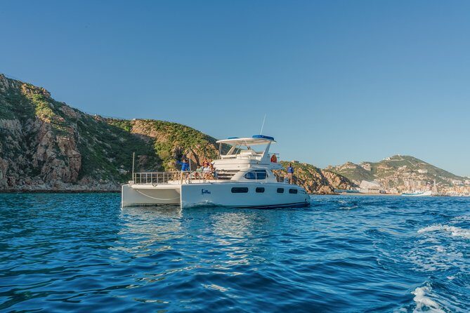 Luxury Catamaran Whale Watching Cabo San Lucas - A Detailed Look at the Whale Watching Experience