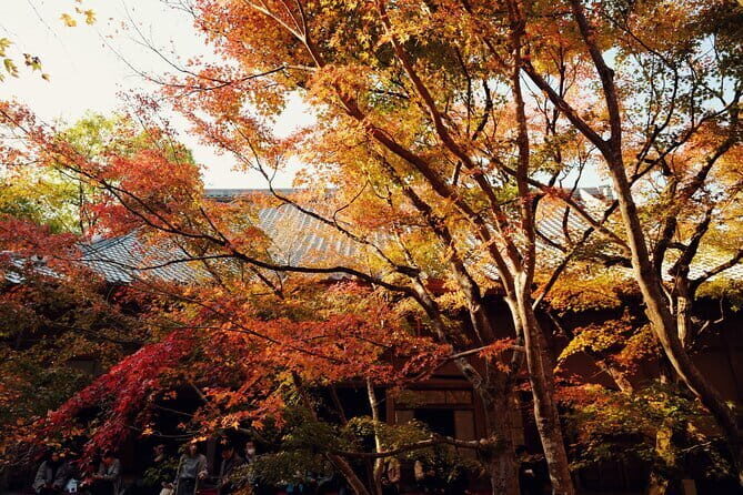 Luxury Classic Kyoto Day Tour - Private Customized Car Tour - What Real Travelers Say