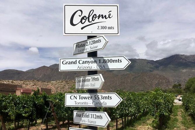 Luxury Colome wine tour - In-Depth Look at the Luxury Colome Wine Tour
