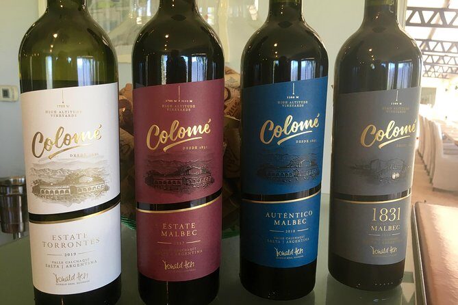 Luxury Colome wine tour - Final Thoughts