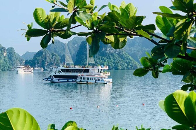 LUXURY DAY CRUISES with 07 Hours Visit Halong Bay & Buffet Lunch - Exploring Ha Long Bay in Style: A Detailed Review of the Luxury Day Cruise
