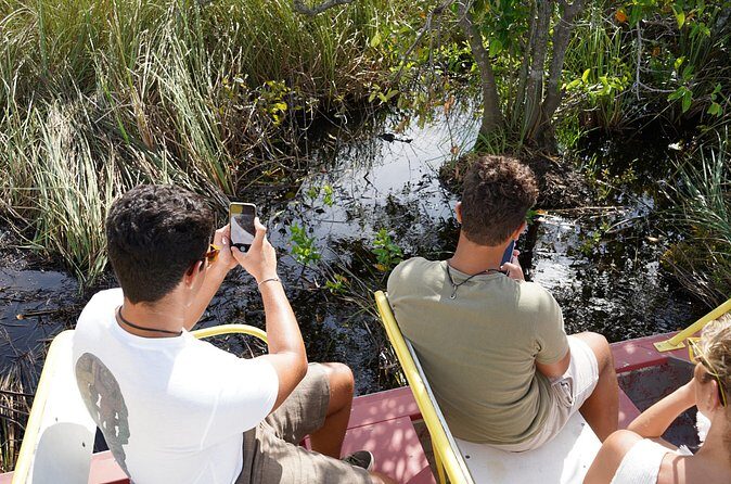 Luxury Everglades Excursion - Key Points